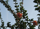 DSCN2815