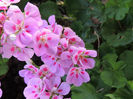 DSCN2817