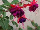 DSCN2820