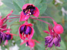 DSCN2822