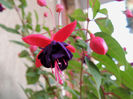 DSCN2823