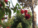 DSCN2824