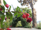 DSCN2825