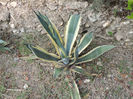 DSCN2828
