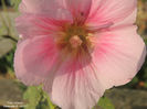 DSCN2841