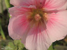 DSCN2842