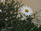 DSCN2844