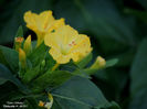 DSCN2845