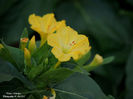 DSCN2846