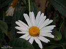 DSCN2847