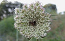 DSCN2858