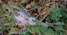 DSCN2861