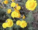 DSCN2866