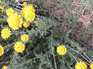 DSCN2871