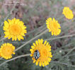 DSCN2875