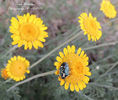 DSCN2877