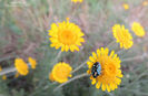 DSCN2878