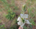 DSCN2879