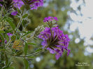DSCN2917