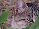 DSCN2939