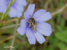 RSCN2344