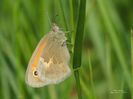 RSCN2358