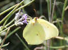 RSCN2467