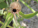 RSCN2607