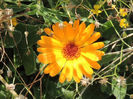 RSCN2611