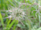 RSCN2622