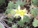 RSCN2635