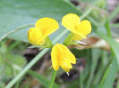 RSCN2673