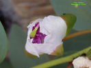 RSCN3025