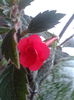 2013-07-15 17.37.25