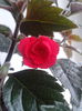 2013-07-15 17.36.41
