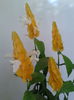 2013-07-02 13.54.12