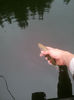20130627_095950