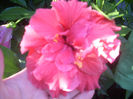 DSCN3163[1]