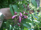 DSCN3188[1]