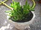 DSCN3171[1]