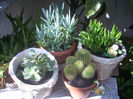 DSCN3172[1]