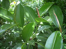 DSCN3191[1]