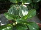 DSCN3189[1]