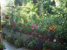 DSCN3162[1]