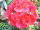 DSCN3174[1]