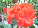 DSCN3175[1]