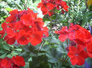 DSCN3177[1]