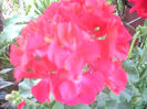 DSCN3178[1]