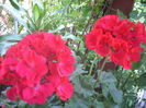 DSCN3179[1]