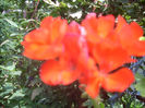 DSCN3180[1]
